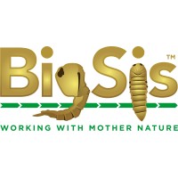Big Sis (Insect Control)